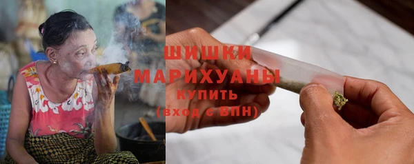 apvp Гусев