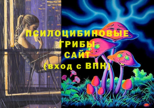 2c-b Майский