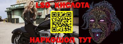 прущие крисы Будённовск