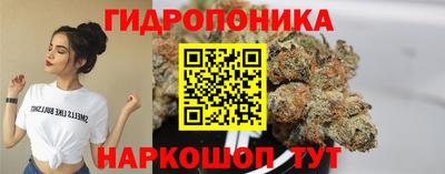 прущие крисы Будённовск