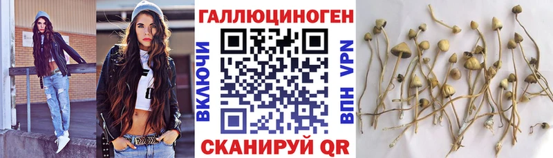 Псилоцибиновые грибы прущие грибы Всеволожск