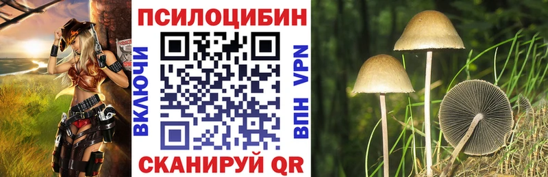 Псилоцибиновые грибы прущие грибы  ОМГ ОМГ ссылки  Всеволожск 