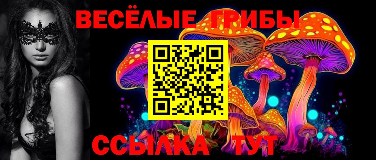Галлюциногенные грибы Cubensis  Псилоцибиновые грибы ЛСД  Всеволожск 